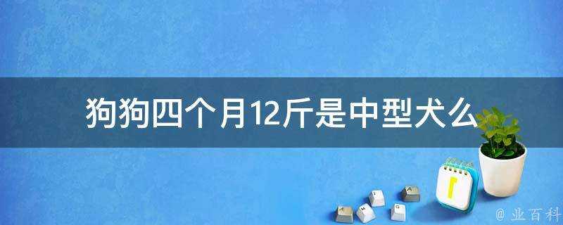 狗狗四個月12斤是中型犬麼