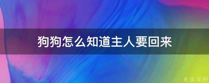 狗狗怎麼知道主人要回來