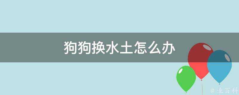 狗狗換水土怎麼辦