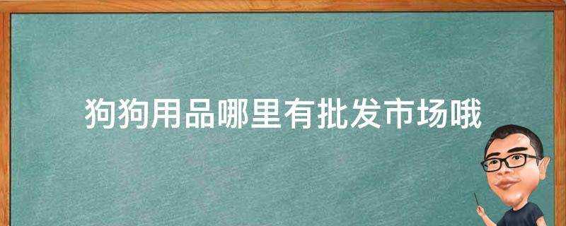 狗狗用品哪裡有批發市場哦