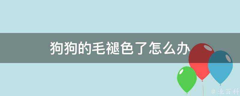 狗狗的毛褪色了怎麼辦