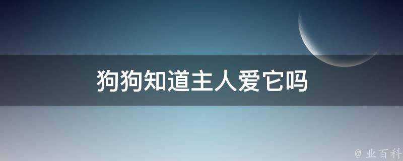 狗狗知道主人愛它嗎