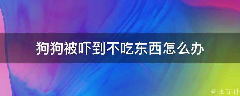 狗狗被嚇到不吃東西怎麼辦