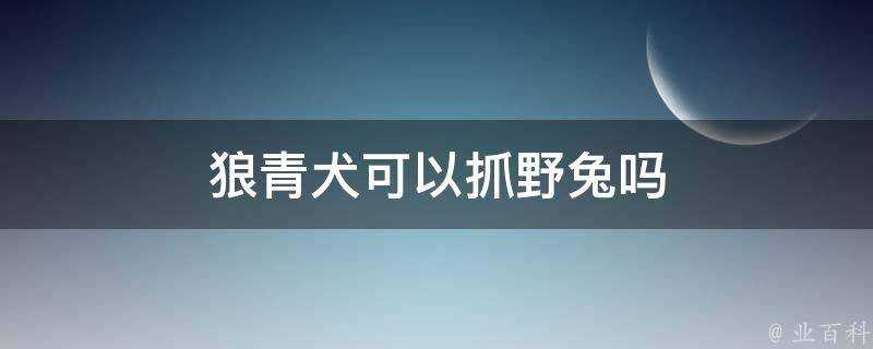 狼青犬可以抓野兔嗎