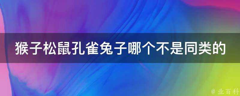 猴子松鼠孔雀兔子哪個不是同類的