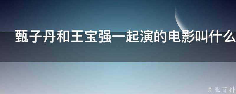 甄子丹和王寶強一起演的電影叫什麼名字