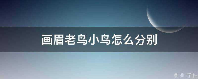 畫眉老鳥小鳥怎麼分別