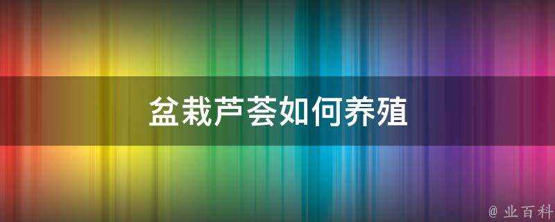 盆栽蘆薈如何養殖