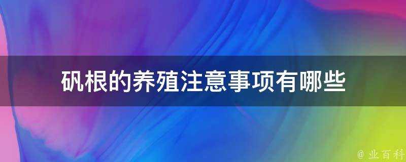 礬根的養殖注意事項有哪些