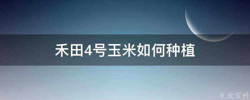 禾田4號玉米如何種植