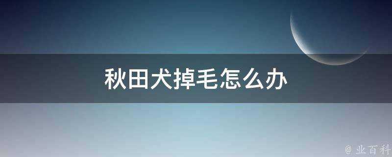 秋田犬掉毛怎麼辦