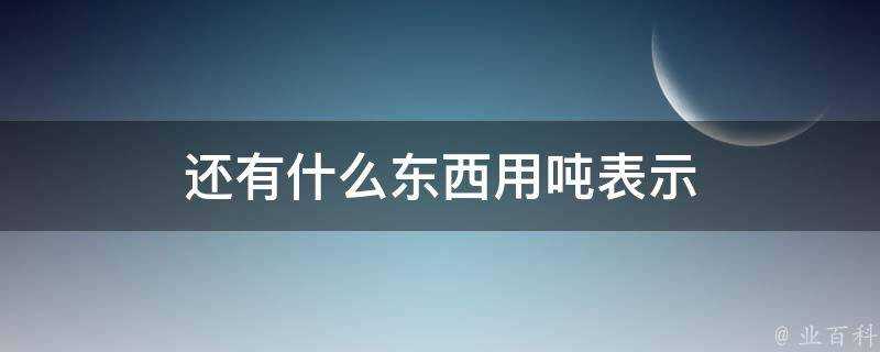 還有什麼東西用噸表示