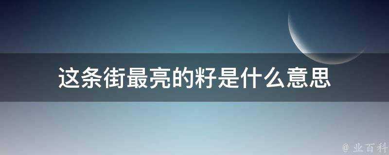 這條街最亮的籽是什麼意思