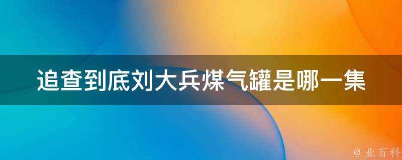 追查到底劉大兵煤氣罐是哪一集