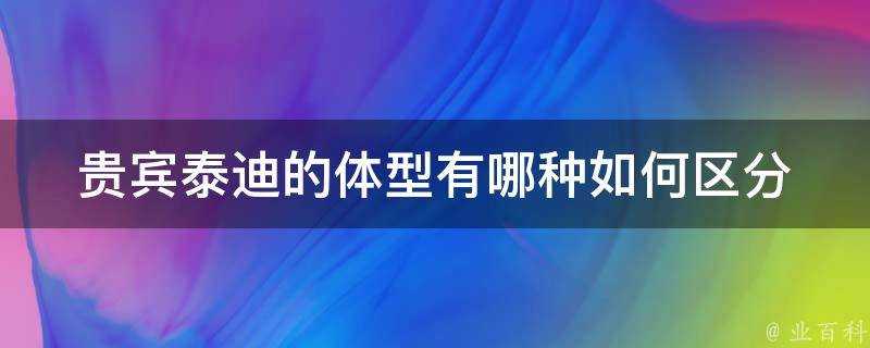 貴賓泰迪的體型有哪種如何區分