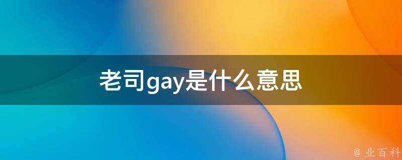 老司gay是什麼意思