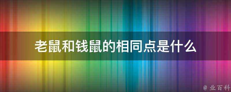 老鼠和錢鼠的相同點是什麼