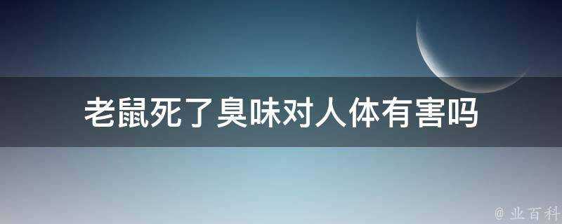 老鼠死了臭味對人體有害嗎