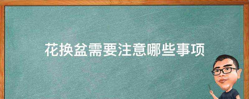 花換盆需要注意哪些事項