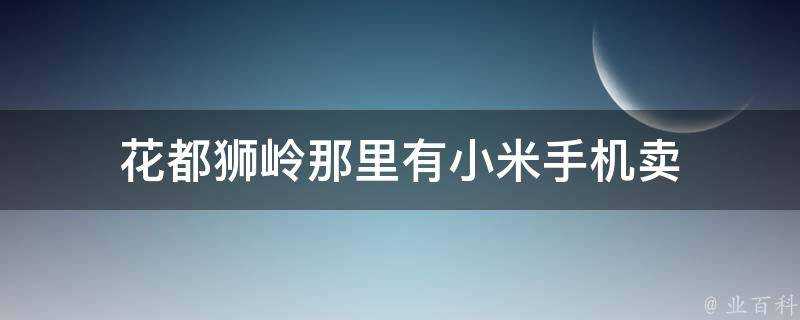 花都獅嶺那裡有小米手機賣