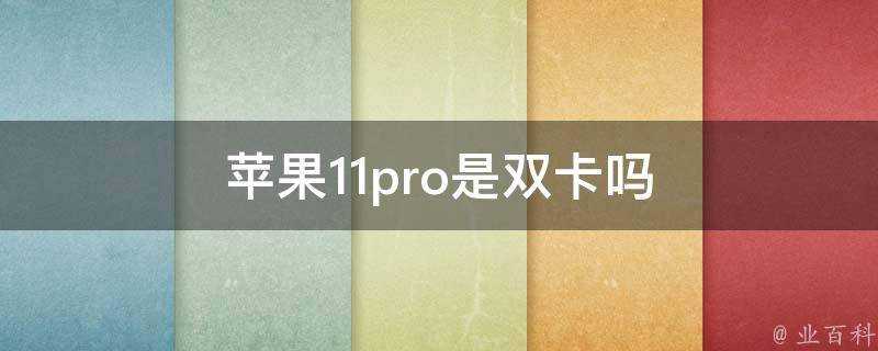 蘋果11pro是雙卡嗎