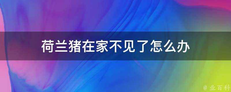 荷蘭豬在家不見了怎麼辦