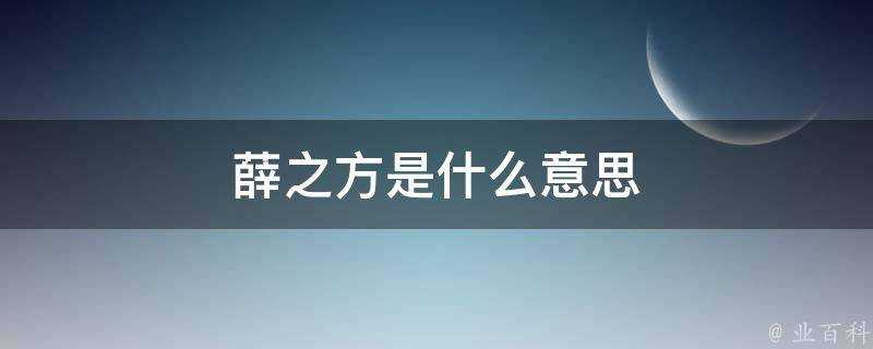 薛之方是什麼意思