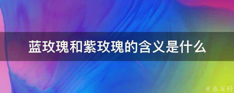 藍玫瑰和紫玫瑰的含義是什麼