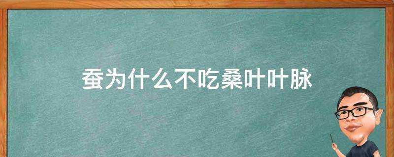 蠶為什麼不吃桑葉葉脈