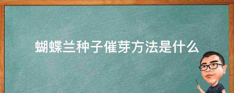 蝴蝶蘭種子催芽方法是什麼