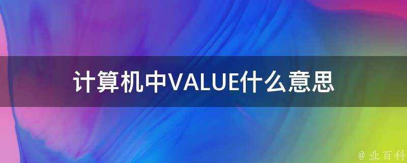 計算機中VALUE什麼意思