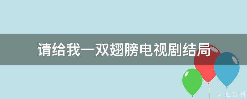 請給我一雙翅膀電視劇結局