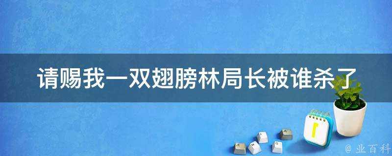 請賜我一雙翅膀林局長被誰殺了