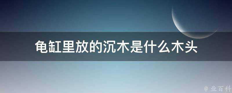 龜缸裡放的沉木是什麼木頭