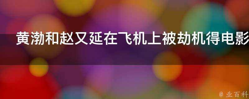 黃渤和趙又延在飛機上被劫機得電影叫什麼