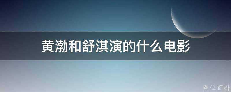 黃渤和舒淇演的什麼電影