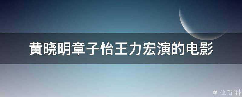 黃曉明章子怡王力宏演的電影