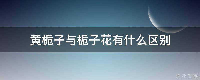 黃梔子與梔子花有什麼區別