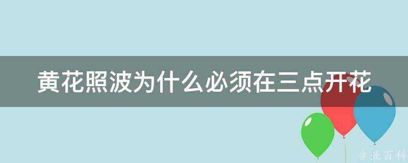 黃花照波為什麼必須在三點開花