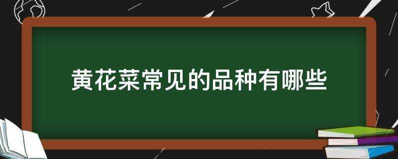 黃花菜常見的品種有哪些