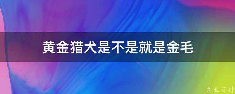 黃金獵犬是不是就是金毛