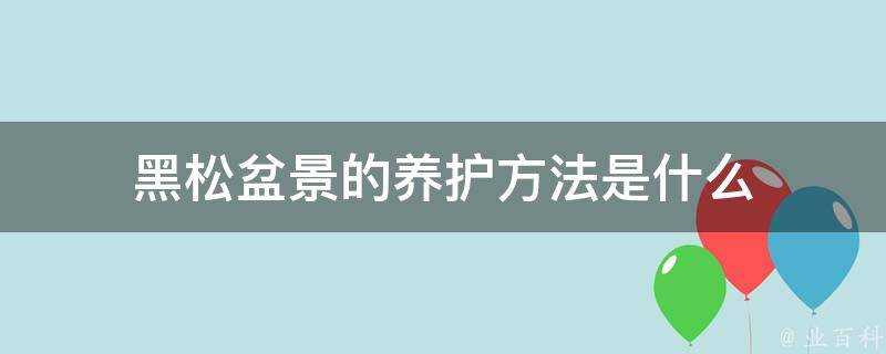 黑松盆景的養護方法是什麼