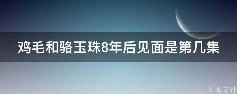 雞毛和駱玉珠8年後見面是第幾集