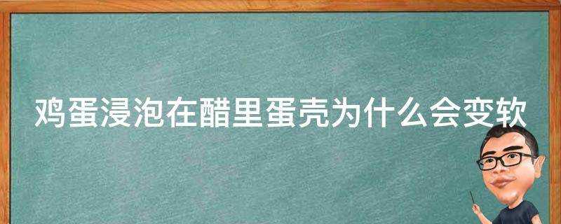 雞蛋浸泡在醋裡蛋殼為什麼會變軟