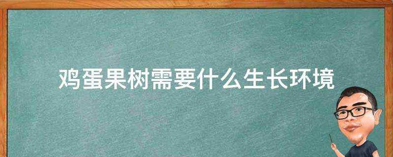 雞蛋果樹需要什麼生長環境