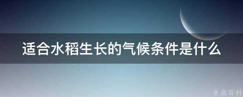 適合水稻生長的氣候條件是什麼