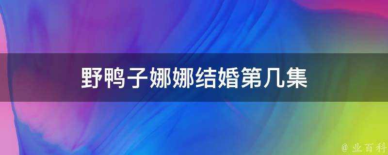 野鴨子娜娜結婚第幾集