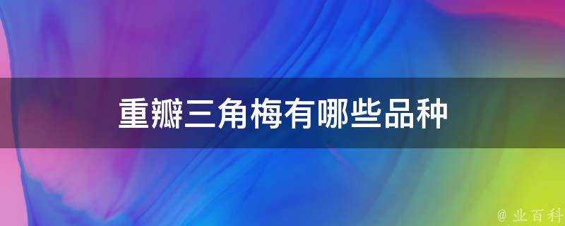 重瓣三角梅有哪些品種