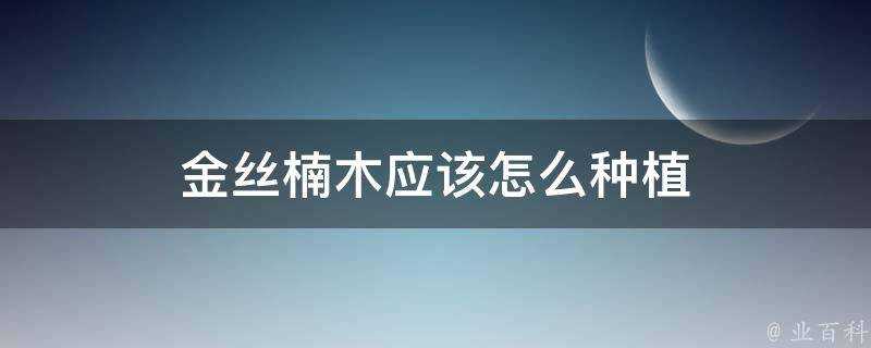 金絲楠木應該怎麼種植