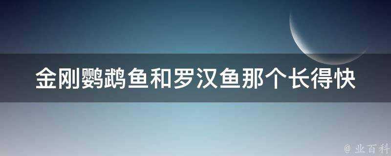 金剛鸚鵡魚和羅漢魚那個長得快